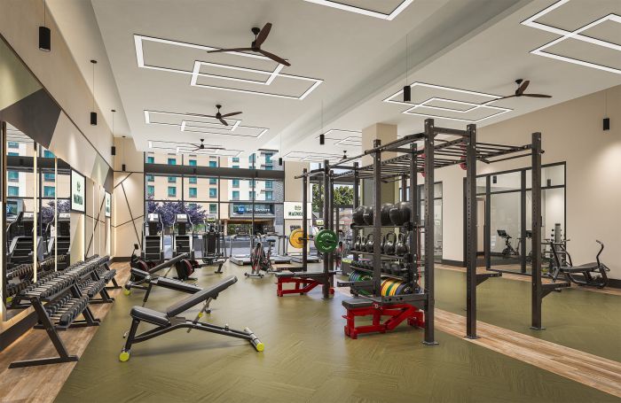 Magnolia Modern gym with free weights, benches, squat racks, mirrors, and large windows showing buildings outside.